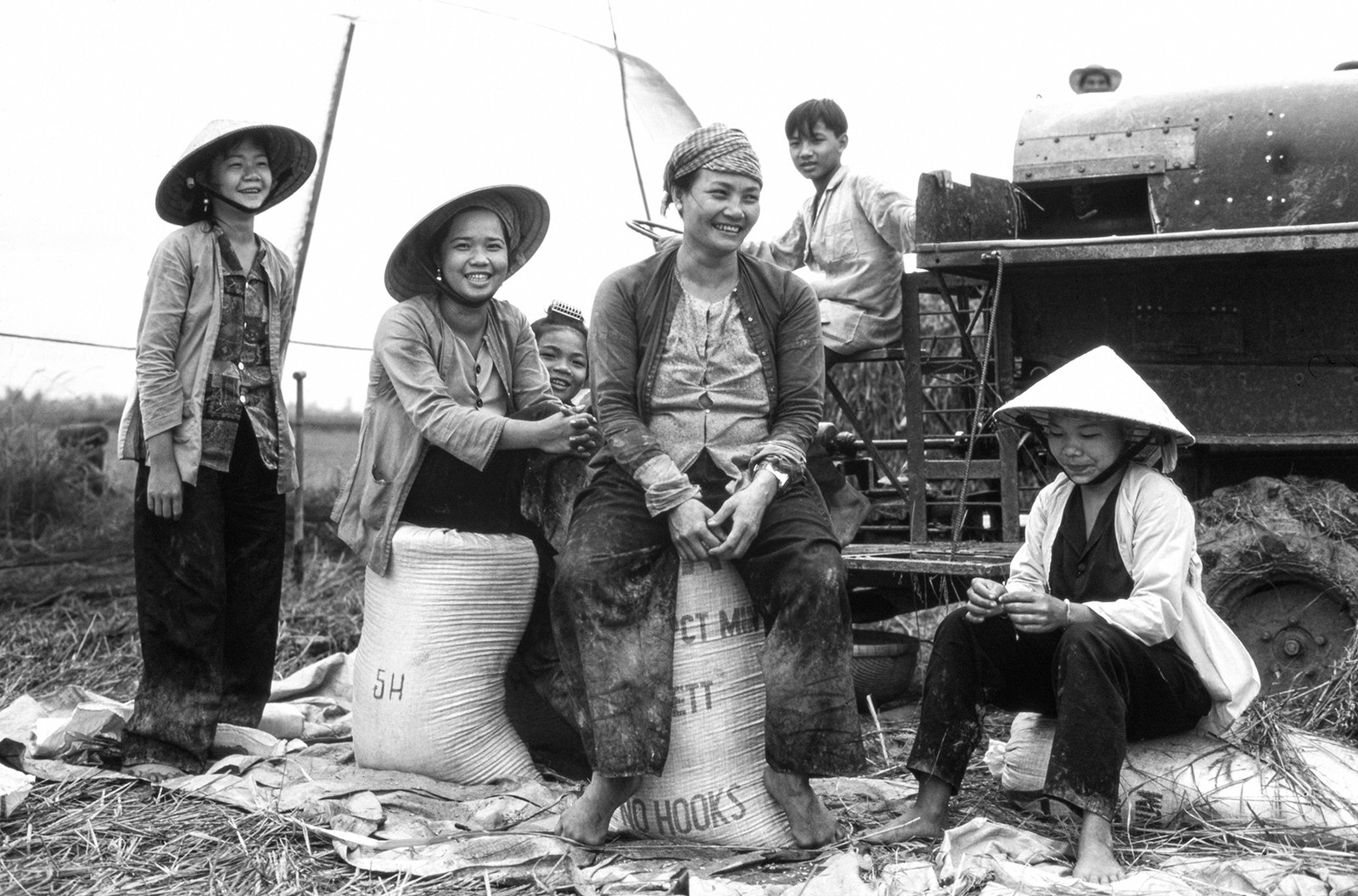 Colheita Familiar nos Campos de Arroz no Vietna, 1995