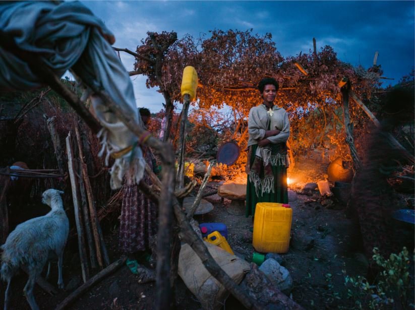 Sem Título, 2019/2020