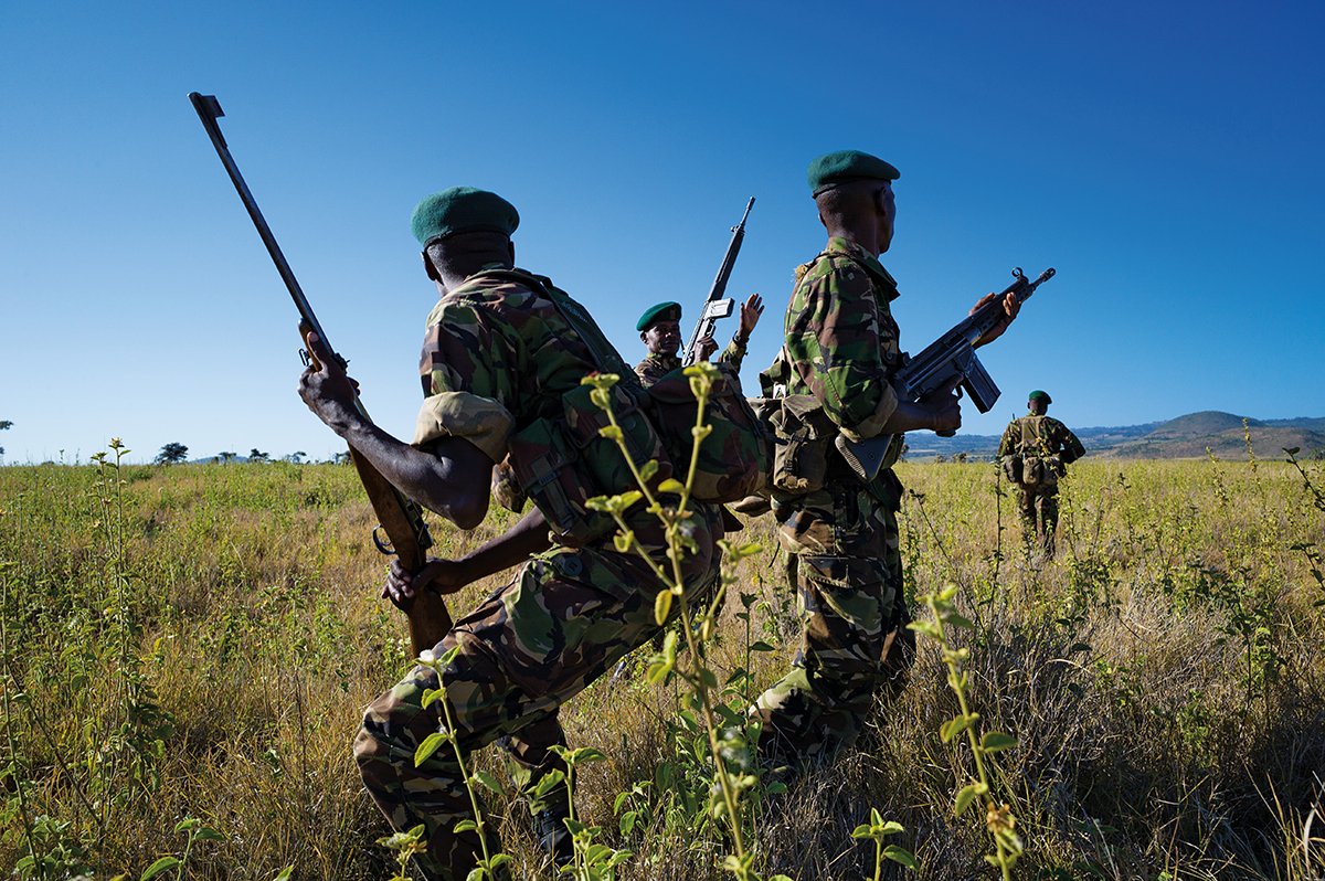 A Jornada do Rinoceronte