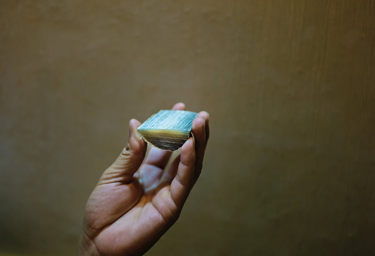 A Jornada do Rinoceronte