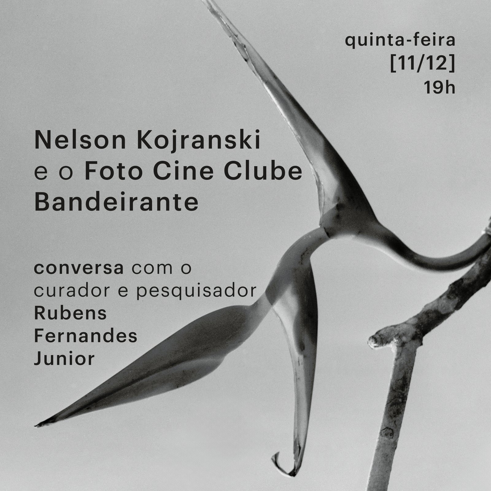 Nelson Kojranski e o FCCB - Conversa com Rubens Fernandes Junior
