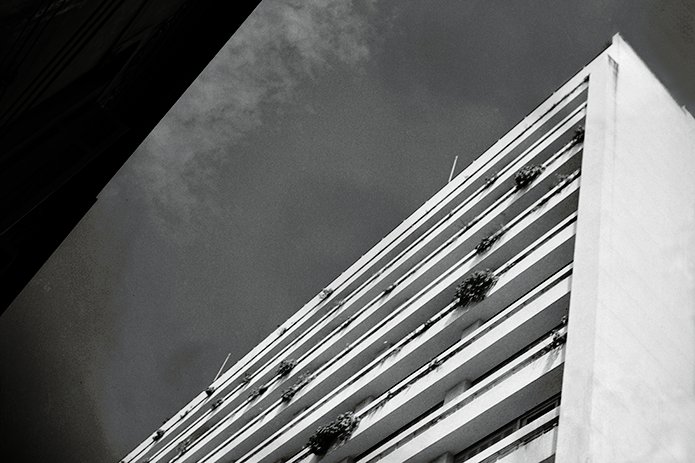 Sem Título, c. 1951 - 1955