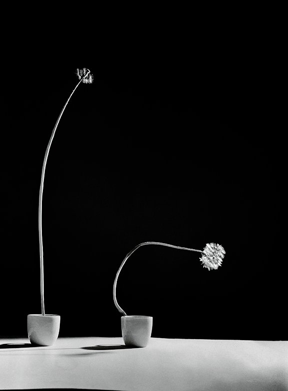 Sem Título, c. 1951 - 1955