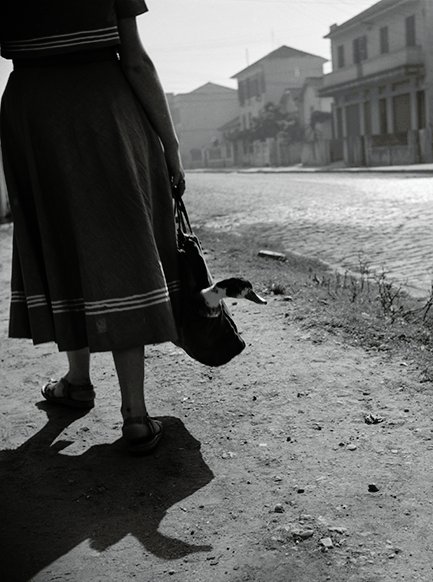 Sem Título (Sentenciado), c. 1951 - 1955